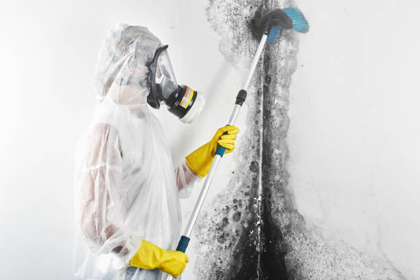 Best Industrial Mold Remediation  in Gladewater, TX