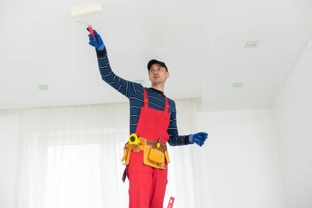 Best Environmental Consulting for Mold Prevention  in Gladewater, TX