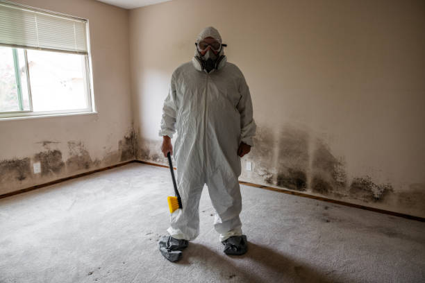 Best Crawl Space Mold Remediation  in Gladewater, TX