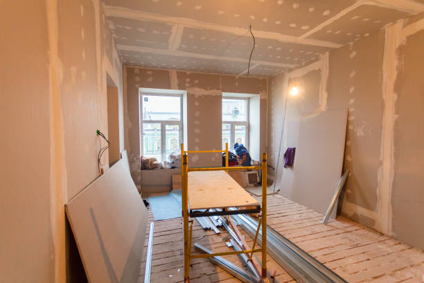 Best Attic Mold Removal  in Gladewater, TX