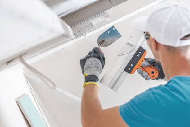 Trusted Gladewater, TX Mold Removal Experts